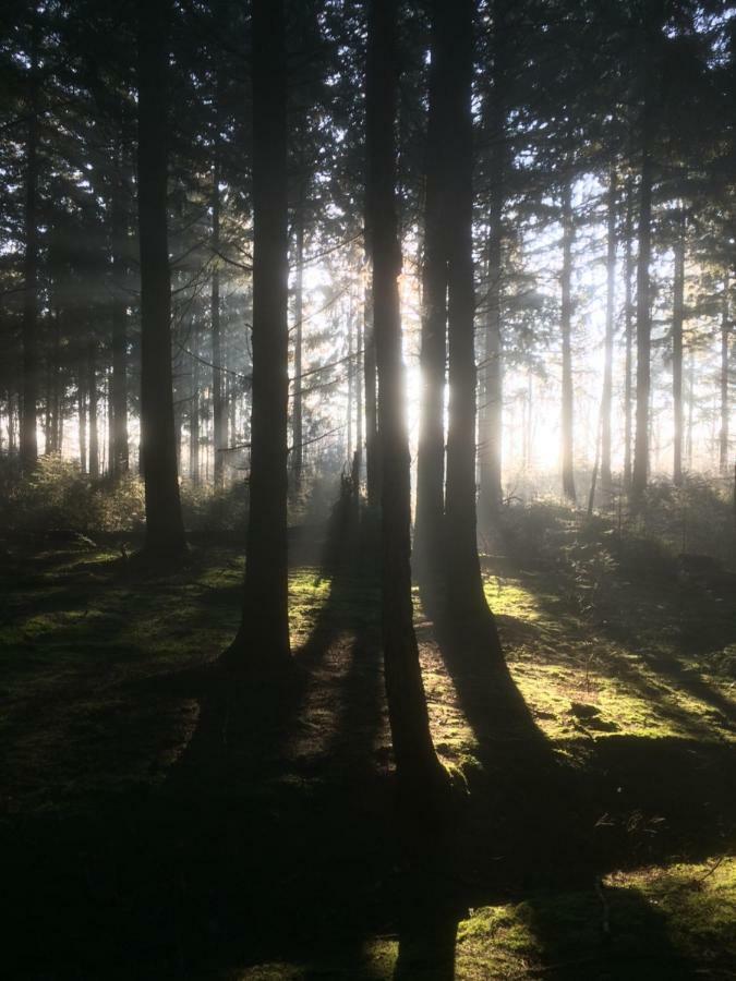 Bed En Breakfast Donkersvoort Beek en Donk Bagian luar foto